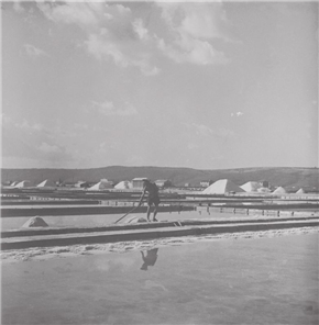Poletna fotografija