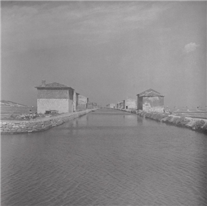 Poletna fotografija