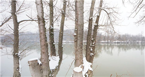 Primož Bizjak: Sava, Donava in Drina