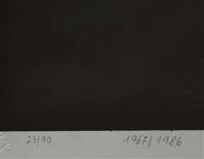 Riko Debenjak - D. M. VII