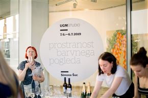 Simona Šuc / prostranost barvnega pogleda