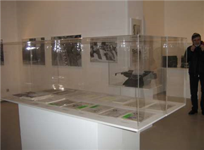 Studio Signum