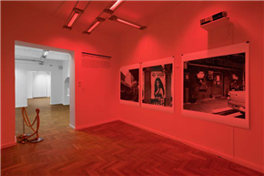 Tadej Pogačar & P. A. R. A. S. I. T. E. muzej sodobne umetnosti