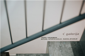 TADEJ VAUKMAN: RITUAL OČIŠČEVANJA: NADALJEVANJE