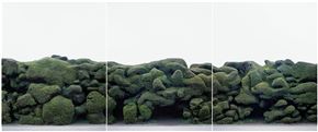 Tamas Dezsö / Hipoteza: vse je listje
