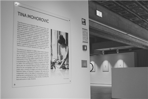 Tina Mohorović- PRESTOPANJA / CROSSINGS
