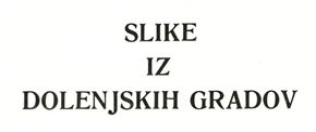 Več avtorjev - Slike iz dolenjskih gradov