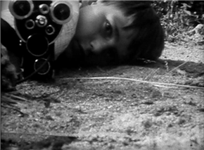 Video festival Narave 20: Živko Kladnik