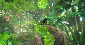 VR,360°@ANIMATEKA