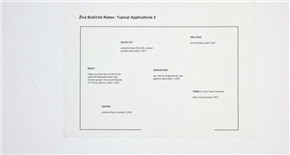 Živa Božičnik Rebec: Topical Applications 2