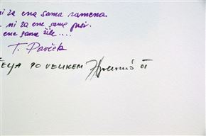 Zvest Apollonio - Želja po velikem